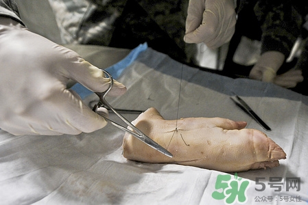 熟猪蹄可以用微波炉加热吗,猪蹄可以在微波炉里热吗