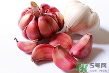 大蒜能祛痘吗,大蒜能去痘痘吗 大蒜能祛痘吗,大蒜能去痘痘吗