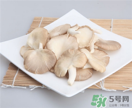 凤尾菇的营养价值及功效,凤尾菇的功效和作用 凤尾菇的营养价值及功效,凤尾菇的功效和作用