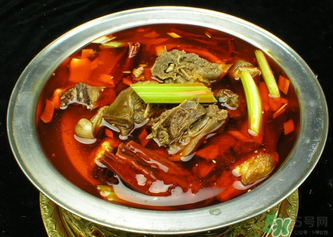 狗肉怎样做才好吃?,吃狗肉忌什么食物