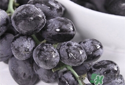 孕妇可以吃黑提吗,孕早期可以吃黑提吗 孕妇可以吃黑提吗,孕早期可以吃黑提吗