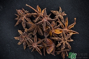 小茴香的功效和作用吃法,小茴香的功效及用途