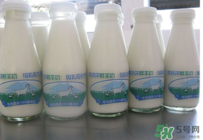 鲜羊奶可以直接喝吗,奶羊的奶可以直接喝吗 鲜羊奶可以直接喝吗,奶羊的奶可以直接喝吗