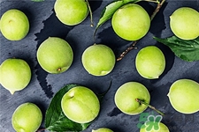 青梅的营养价值及功效,青梅介绍青梅的功效和作用有哪些