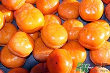 喝白酒能吃柿子吗会中毒吗,喝酒喝白酒能吃柿子吗 喝白酒能吃柿子吗会中毒吗,喝酒喝白酒能吃柿子吗