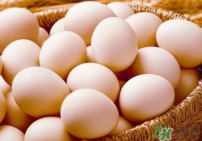 笨鸡蛋和普通鸡蛋在营养上有什么区别,笨鸡蛋和普通鸡蛋营养价值一样吗