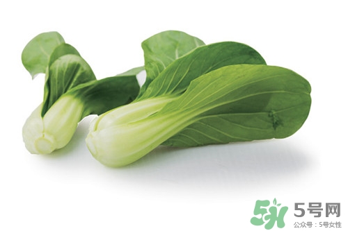 油菜能生吃不,菜油可以生吃会怎么样