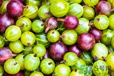 灯笼果是什么样子的,像灯笼果的红色的是什么