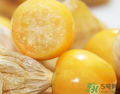灯笼果不能和什么一起吃吗,灯笼果可以吃吗