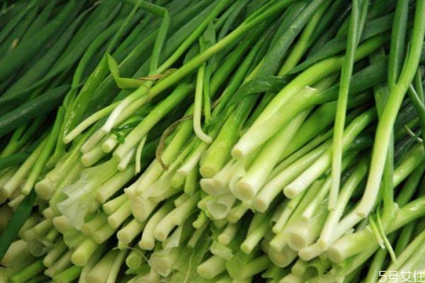 韭菜是凉性还是热性的,韭菜是凉性还是热性的蔬菜
