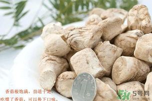 香菇可以多吃吗,香菇根能吃吗有什么营养 香菇可以多吃吗,香菇根能吃吗有什么营养