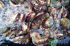 女人吃鲍鱼有什么好处,女性常吃鲍鱼的好处