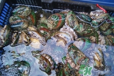 干的鲍鱼怎么吃?,鲍鱼怎么吃最好