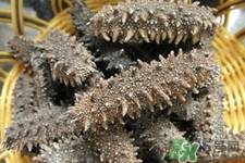 怎样辨别海参的好坏如何挑选海参,如何辨别海参的好坏 怎样辨别海参的好坏如何挑选海参,如何辨别海参的好坏