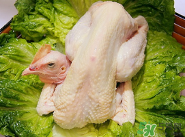 生的鸡肉放冷藏还是冷冻,鸡肉放冷藏还是冷冻?