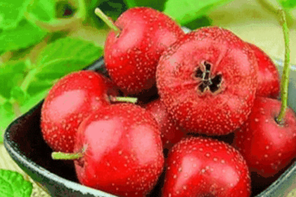 为什么山楂不能多吃,山楂不能吃太多