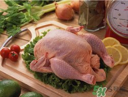 冰冻鸡肉放冰箱可以放多久,炸过的鸡肉放冰箱可以放多久