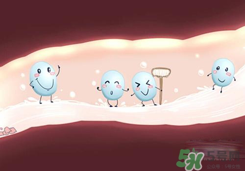 吃哪种益生菌好,吃益生菌的好处和坏处