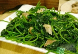 红薯叶吃多了好吗?,红薯叶吃多了有害吗