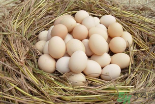 土鸡蛋的营养成分表,土鸡蛋的营养成分更高些吗