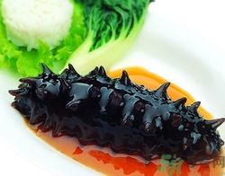 吃海参会过敏吗?过敏症状有哪些,吃海参有过敏症状吗