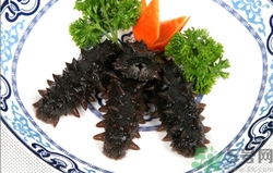 鲜海参冷冻可以放多久,海参能冷冻保存吗 鲜海参冷冻可以放多久,海参能冷冻保存吗