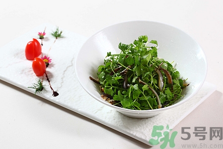 请问痛风病人可以吃海参吗?,痛风的人不能吃海参吗