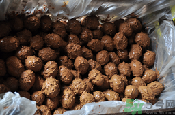 咸鸭蛋腌多久可以吃?,咸鸭蛋腌多久能吃