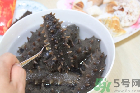 海参生吃可以吗,新鲜海参可以生吃吗