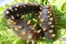 海参每天吃多少合适,什么时间吃,海参每天吃多少合适