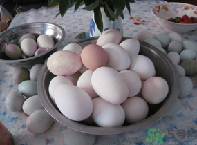 鸭蛋和鸡蛋哪个更营养,秋鸭蛋的功效和作用 鸭蛋和鸡蛋哪个更营养,秋鸭蛋的功效和作用