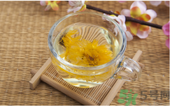 枸杞可以天天喝吗,什么样的菊花茶是最好的