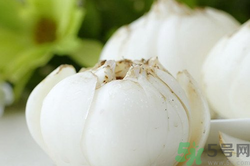 新鲜百合能吃吗,新鲜百合能吃吗,是否有苦味