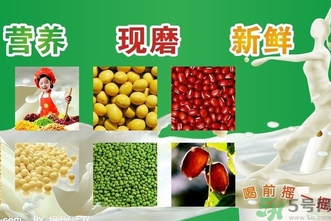 豆浆的介绍,豆浆的介绍中文