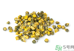 菊花会长虫吗,干菊花长虫子怎么办