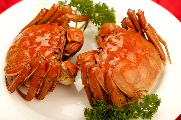 抱卵蟹可以吃吗,产卵的螃蟹能吃吗