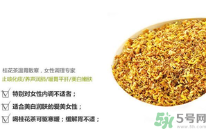 月经量少可以喝玫瑰花茶吗,调月经喝什么花茶