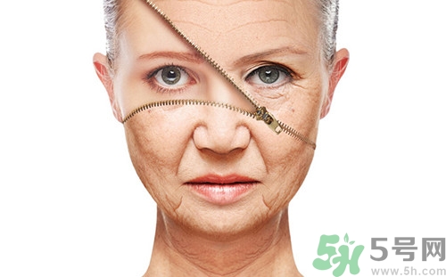 女人喝什么茶可以抗衰老,女人喝啥茶能美容养颜抗衰老