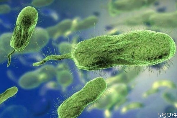 霍乱是通过什么途径传染的呢(霍乱的传染源及传播途径是什么?) 霍乱是通过什么途径传染的呢(霍乱的传染源及传播途径是什么?)