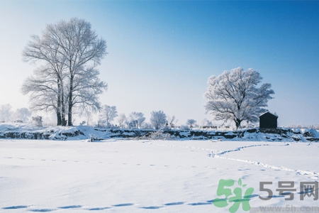 冬天吃冬枣,立冬吃红枣