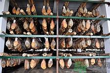 立冬了可以腌制腊肉吗,立冬可以腌腊肉了吗