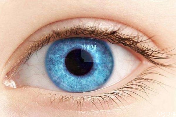 如何可以恢复视力呢(怎样可以恢复视力?)