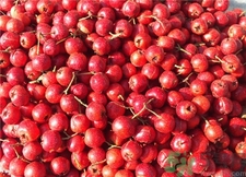 山楂怎么洗才能洗干净,山楂怎样洗才干净 山楂怎么洗才能洗干净,山楂怎样洗才干净