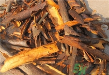 桂皮有什么功效和作用,桂皮的用途和功效 桂皮有什么功效和作用,桂皮的用途和功效