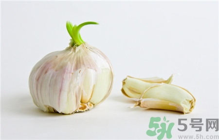 大蒜中间绿了还可以吃吗,大蒜里面发绿了还能吃吗 大蒜中间绿了还可以吃吗,大蒜里面发绿了还能吃吗