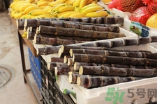 甘蔗吃多了会怎么样?,甘蔗对身体有什么好处