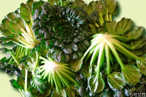 塔菜怎么做才好吃,塔菜怎么做好吃家常菜