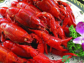 十月份还有龙虾吗,十一月份有龙虾吗