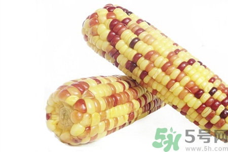 糯玉米的功效和作用及营养价值,甜玉米的功效和作用