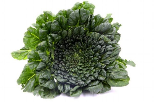 咳嗽为什么不能吃鱼(咳嗽为什么不能吃鱼?)